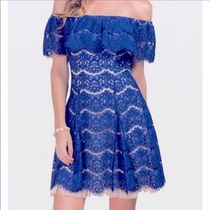 NEW Francesca's Lace Dress Large